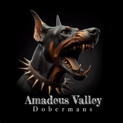 Home of Amadeus Valley Dobermans .